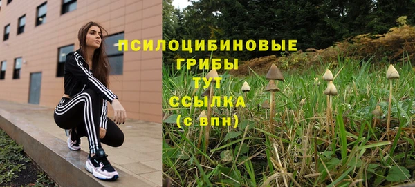 дурь Абдулино