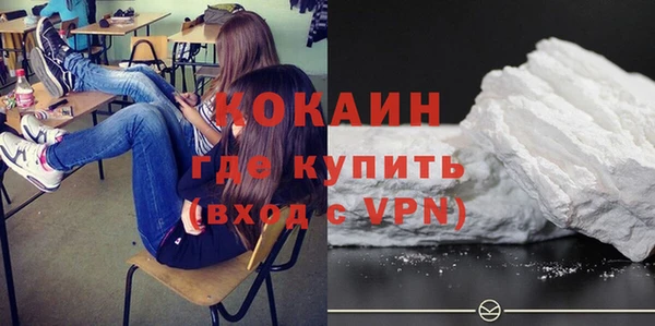 соль ск Абаза