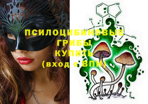 соль ск Абаза