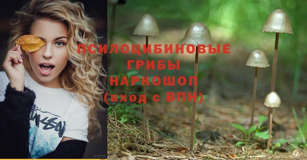 соль ск Абаза