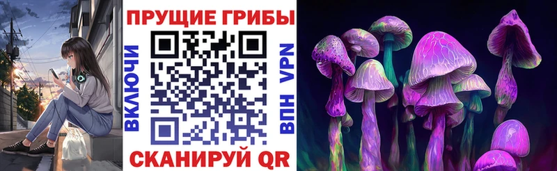это наркотические препараты Тайга Псилоцибиновые грибы Psilocybe
